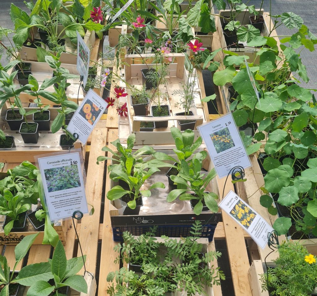 plants-bio