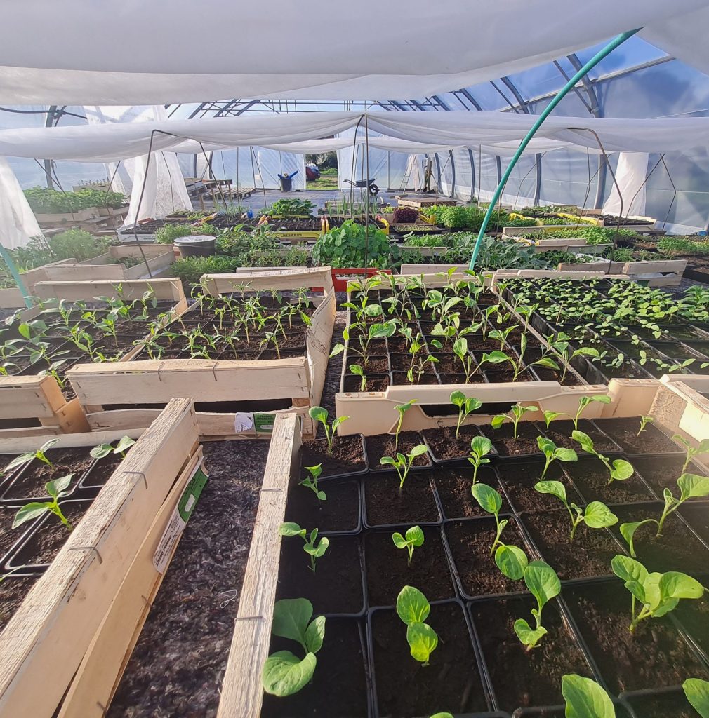 plants bio